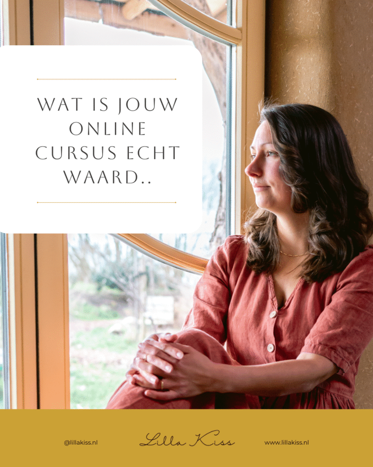 wat is jouw online cursus echt waard en vraag je die prijs ook?