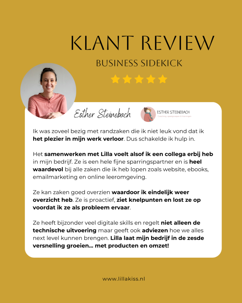 Review business sidekick van Esther Steinebach over VA Lilla Kiss